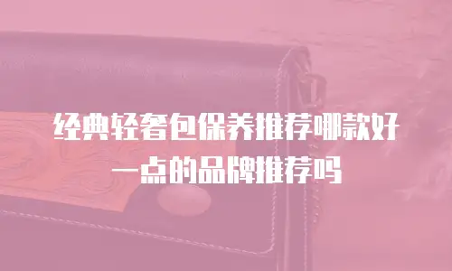 经典轻奢包保养推荐哪款好一点的品牌推荐吗