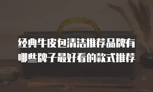 经典牛皮包清洁推荐品牌有哪些牌子最好看的款式推荐