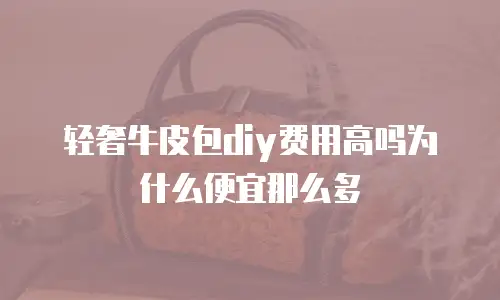 轻奢牛皮包diy费用高吗为什么便宜那么多