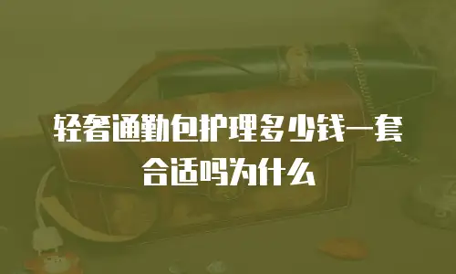 轻奢通勤包护理多少钱一套合适吗为什么
