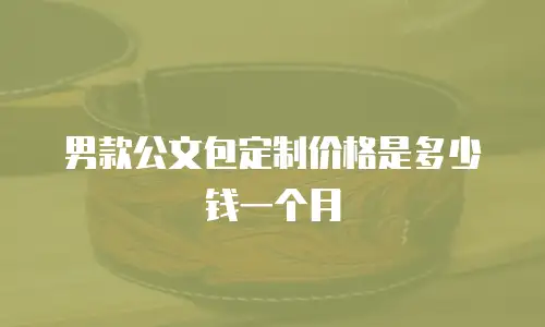 男款公文包定制价格是多少钱一个月