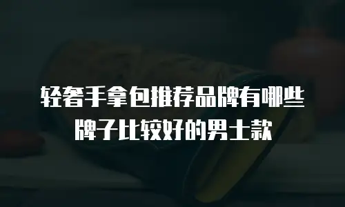 轻奢手拿包推荐品牌有哪些牌子比较好的男士款