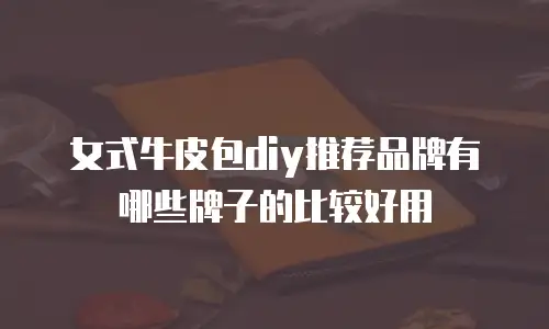 女式牛皮包diy推荐品牌有哪些牌子的比较好用