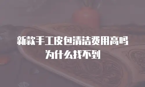 新款手工皮包清洁费用高吗为什么找不到