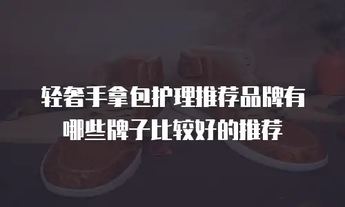 轻奢手拿包护理推荐品牌有哪些牌子比较好的推荐