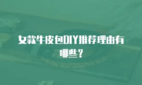 女款牛皮包DIY推荐理由有哪些？