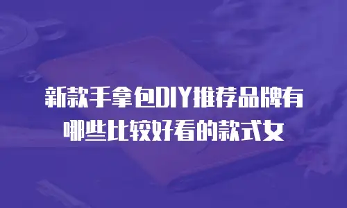 新款手拿包DIY推荐品牌有哪些比较好看的款式女