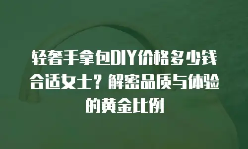 轻奢手拿包DIY价格多少钱合适女士？解密品质与体验的黄金比例