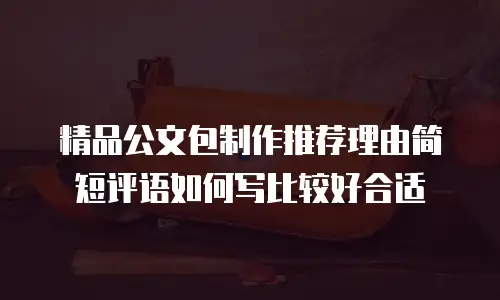 精品公文包制作推荐理由简短评语如何写比较好合适