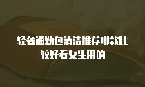轻奢通勤包清洁推荐哪款比较好看女生用的