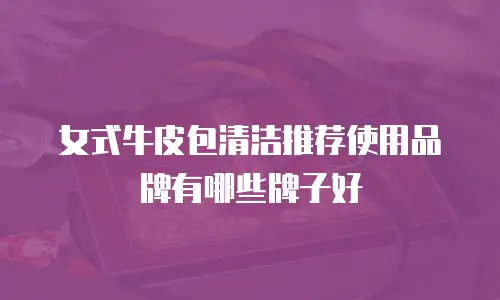 女式牛皮包清洁推荐使用品牌有哪些牌子好