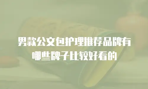 男款公文包护理推荐品牌有哪些牌子比较好看的