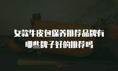 女款牛皮包保养推荐品牌有哪些牌子好的推荐吗