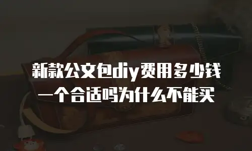 新款公文包diy费用多少钱一个合适吗为什么不能买