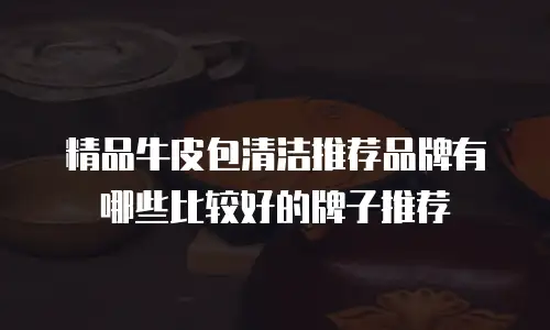 精品牛皮包清洁推荐品牌有哪些比较好的牌子推荐