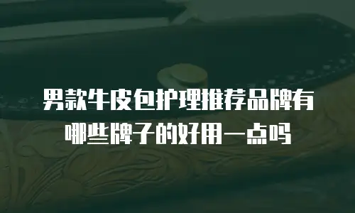 男款牛皮包护理推荐品牌有哪些牌子的好用一点吗