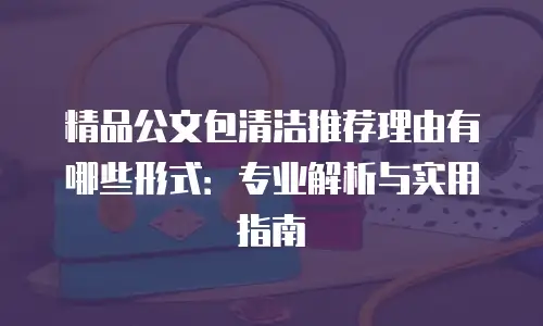 精品公文包清洁推荐理由有哪些形式：专业解析与实用指南