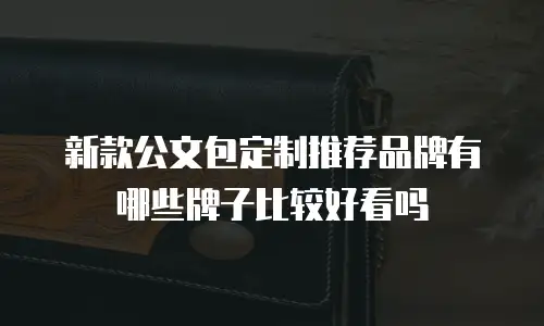 新款公文包定制推荐品牌有哪些牌子比较好看吗