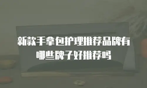 新款手拿包护理推荐品牌有哪些牌子好推荐吗