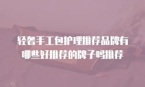 轻奢手工包护理推荐品牌有哪些好推荐的牌子吗推荐