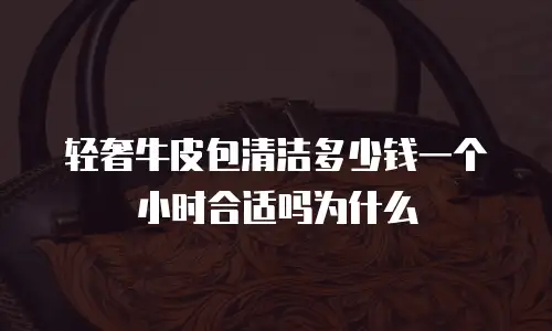 轻奢牛皮包清洁多少钱一个小时合适吗为什么