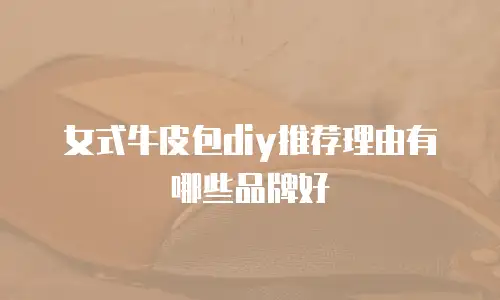 女式牛皮包diy推荐理由有哪些品牌好