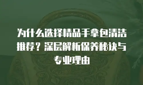 为什么选择精品手拿包清洁推荐？深层解析保养秘诀与专业理由