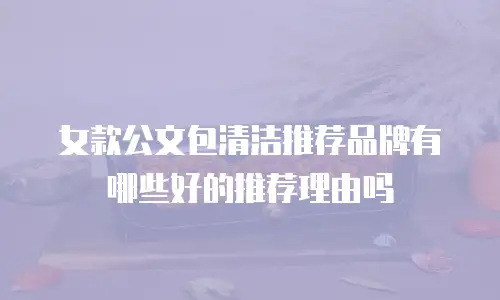 女款公文包清洁推荐品牌有哪些好的推荐理由吗