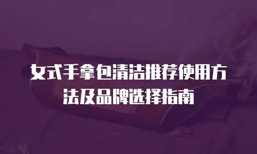 女式手拿包清洁推荐使用方法及品牌选择指南
