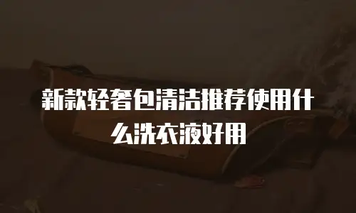 新款轻奢包清洁推荐使用什么洗衣液好用