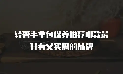 轻奢手拿包保养推荐哪款最好看又实惠的品牌