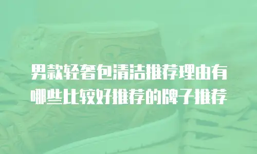 男款轻奢包清洁推荐理由有哪些比较好推荐的牌子推荐