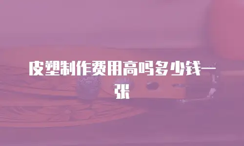皮塑制作费用高吗多少钱一张