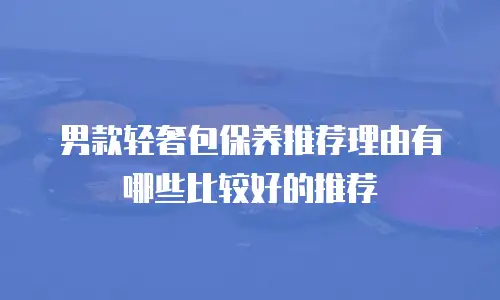 男款轻奢包保养推荐理由有哪些比较好的推荐