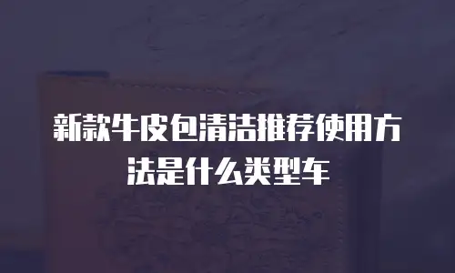 新款牛皮包清洁推荐使用方法是什么类型车