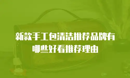新款手工包清洁推荐品牌有哪些好看推荐理由