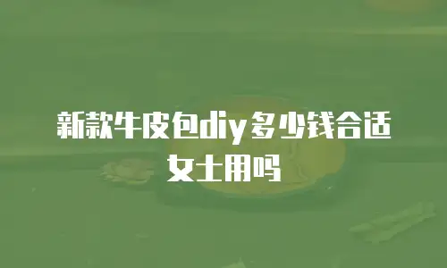 新款牛皮包diy多少钱合适女士用吗