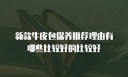 新款牛皮包保养推荐理由有哪些比较好的比较好