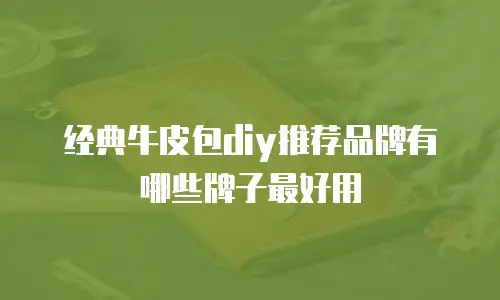 经典牛皮包diy推荐品牌有哪些牌子最好用