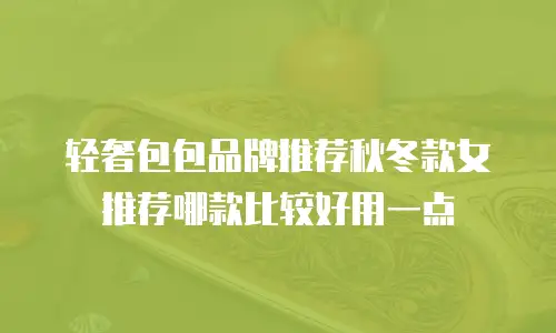 轻奢包包品牌推荐秋冬款女推荐哪款比较好用一点
