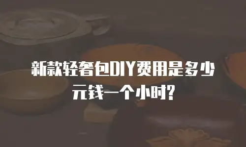 新款轻奢包DIY费用是多少元钱一个小时?