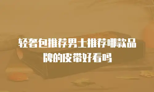 轻奢包推荐男士推荐哪款品牌的皮带好看吗