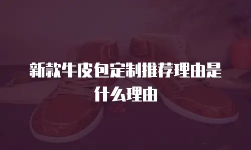 新款牛皮包定制推荐理由是什么理由