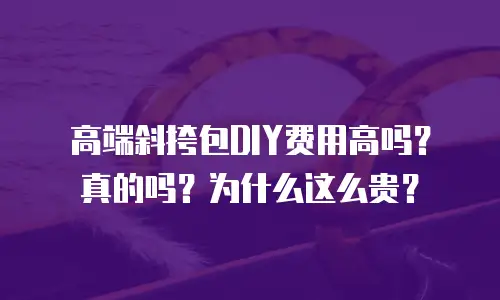高端斜挎包DIY费用高吗？真的吗？为什么这么贵？