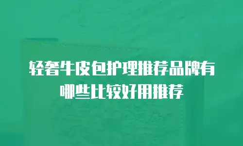 轻奢牛皮包护理推荐品牌有哪些比较好用推荐