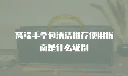 高端手拿包清洁推荐使用指南是什么级别