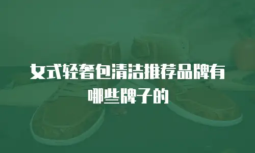 女式轻奢包清洁推荐品牌有哪些牌子的