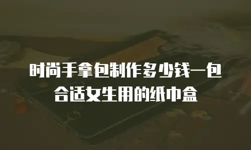 时尚手拿包制作多少钱一包合适女生用的纸巾盒