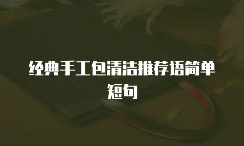 经典手工包清洁推荐语简单短句