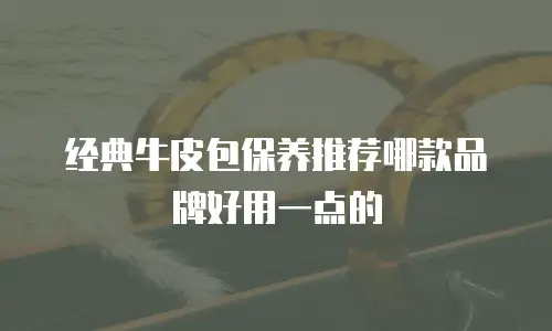 经典牛皮包保养推荐哪款品牌好用一点的